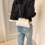 Gold Velvet Evening Bag Clutch Bag Women 2025 French Vintage Luxury Chain Purse Elegant Fashion Purse Wedding Party Handbag